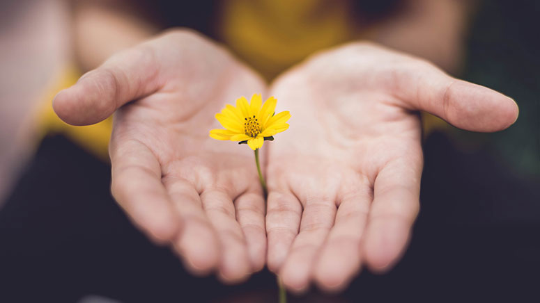 Social responsibility